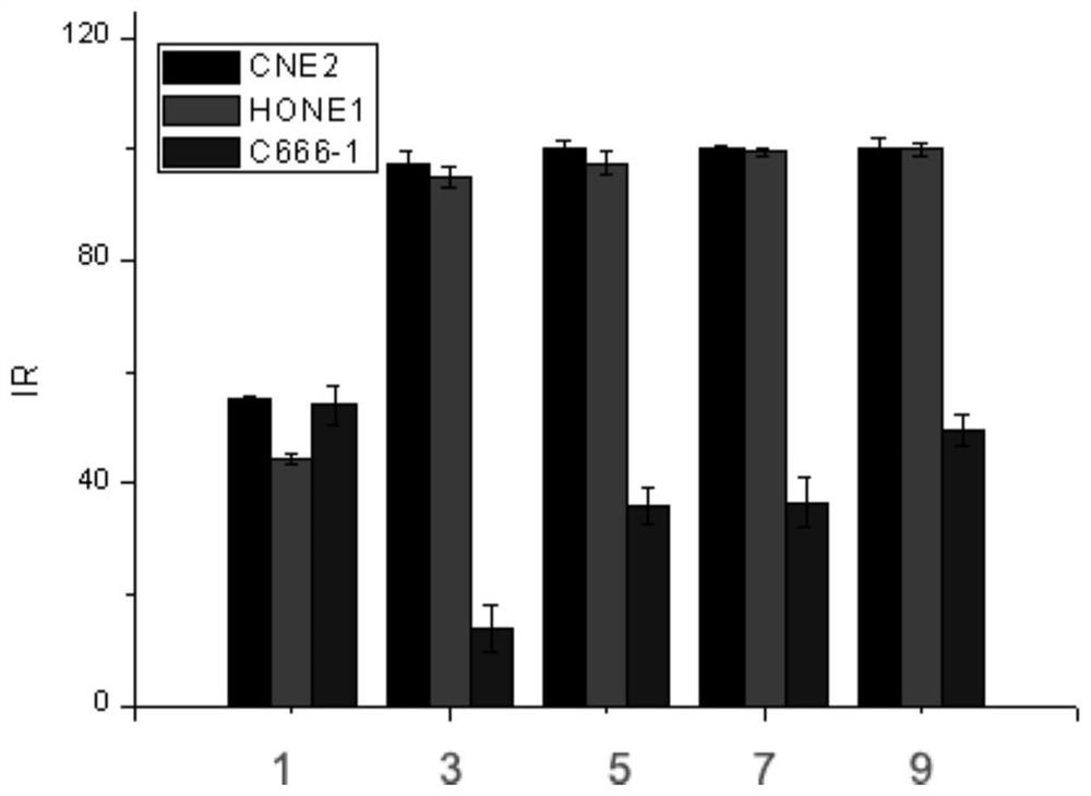 A human nk/t cell line