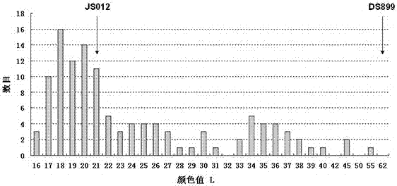 A SNP Molecular Marker Tightly Linked to Sesame Seed Coat Color Gene