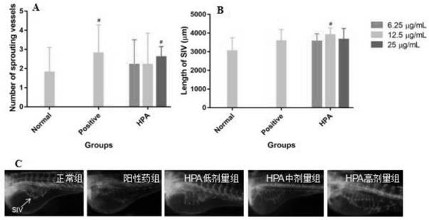 Application of p-hydroxyphenylacetic acid in prevention and/or treatment of cardiovascular diseases