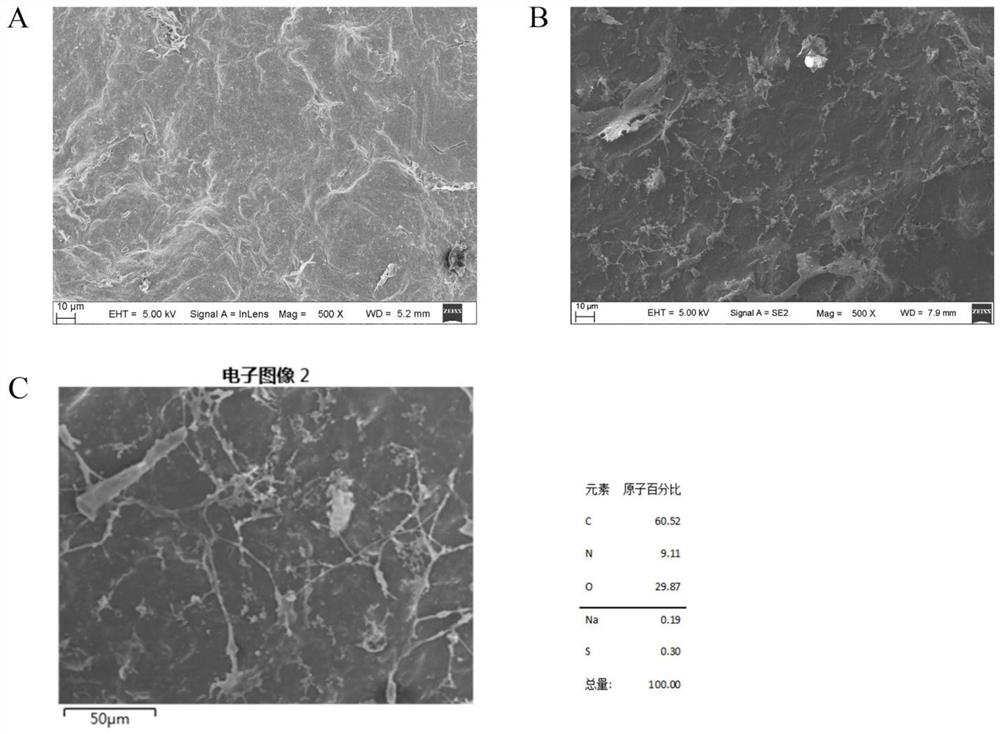 Artificial blood vessel and preparation method thereof