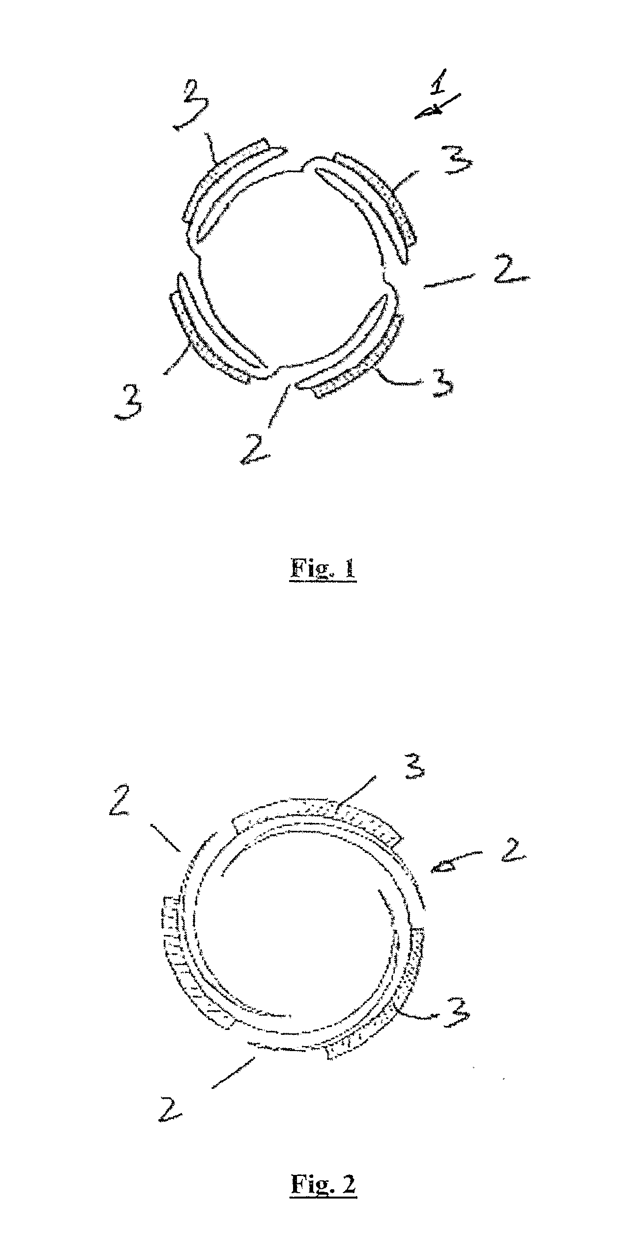 Delivery system for multiple stents