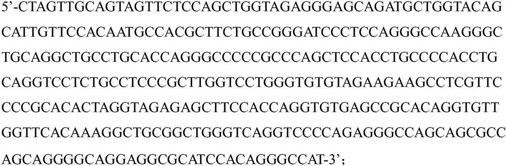 IRES-hINS recombinant gene, lentivirus, and construction method and application of IRES-hINS recombinant gene