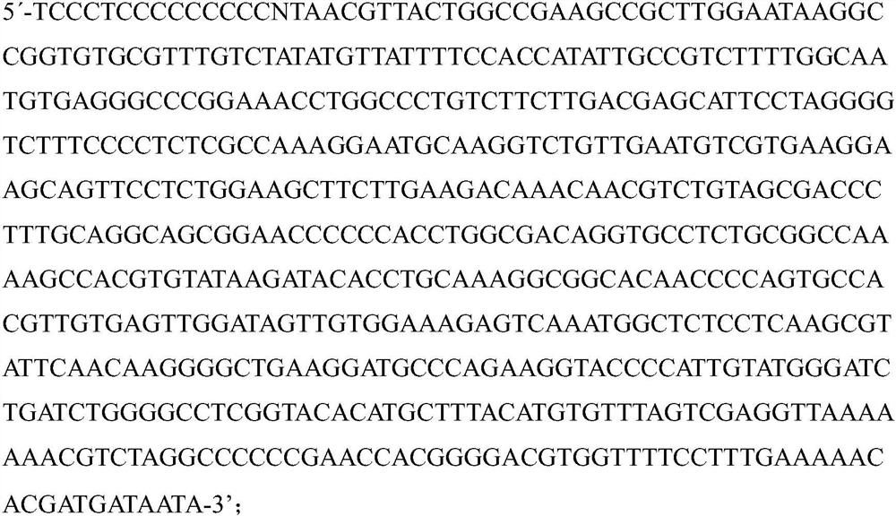 IRES-hINS recombinant gene, lentivirus, and construction method and application of IRES-hINS recombinant gene