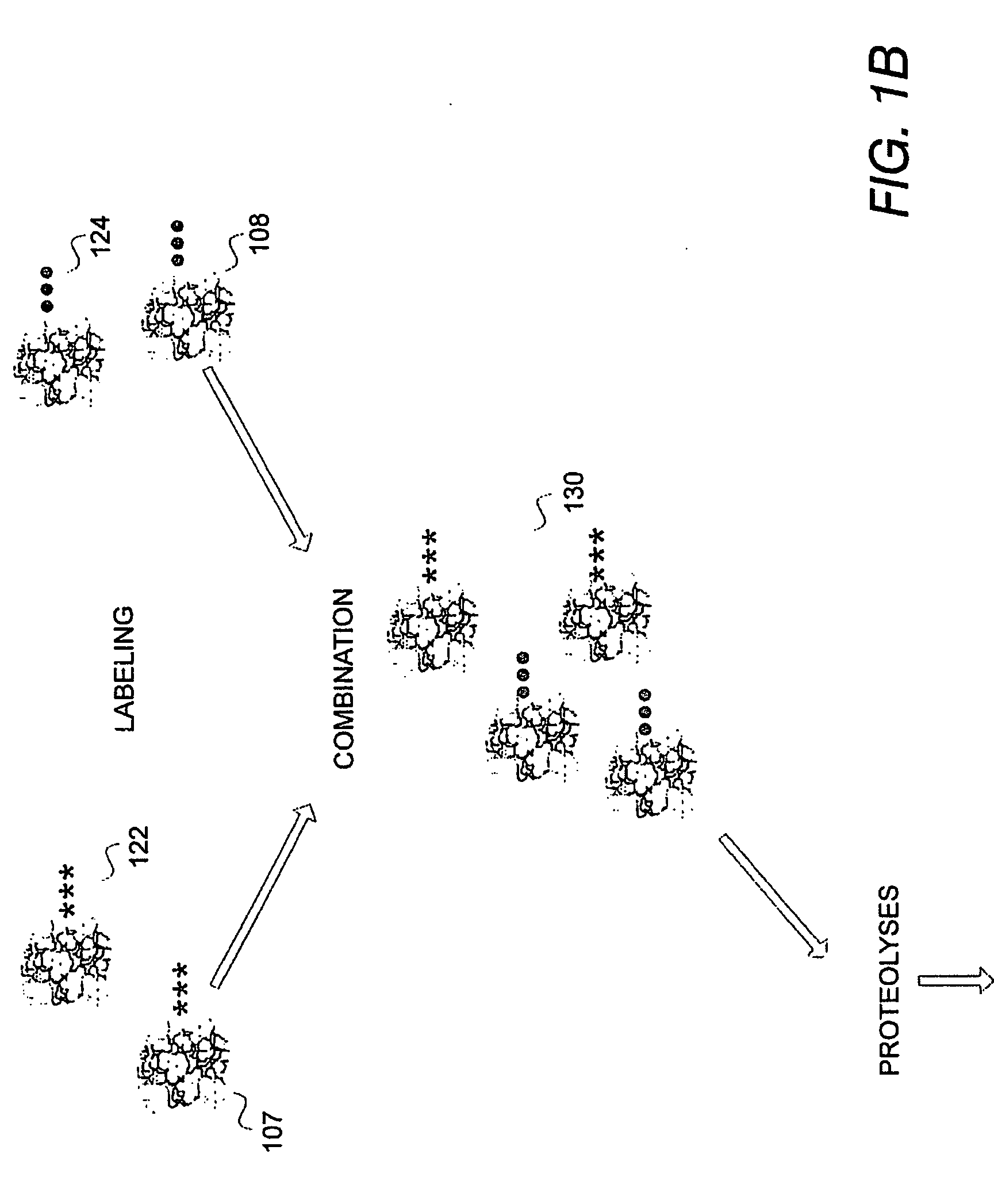 System and method of determining proteomic differences