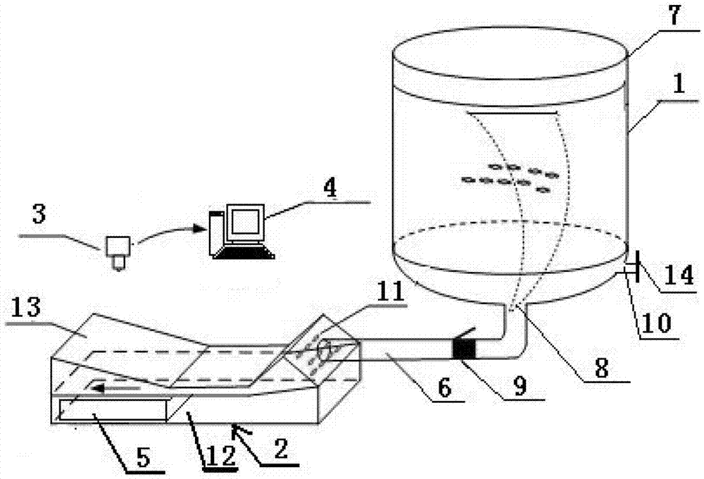 Fish, shrimp and crab seed automatic counting device and method based on computer video processing