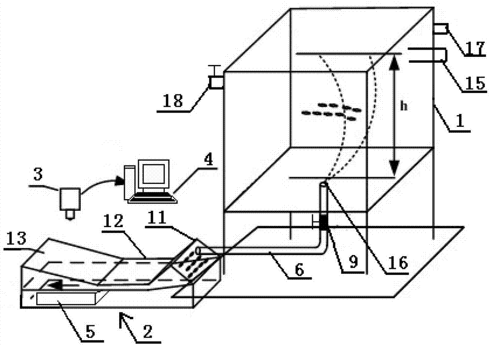 Fish, shrimp and crab seed automatic counting device and method based on computer video processing