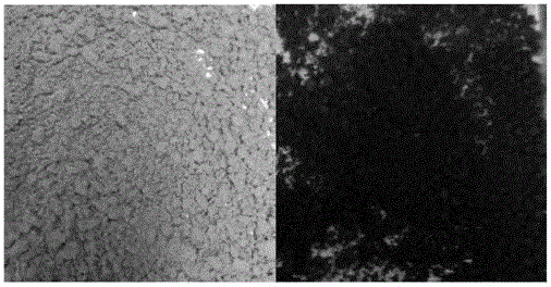 Preparation method of high-performance graphene oxide/solution polymerized styrene-butadiene rubber composite material