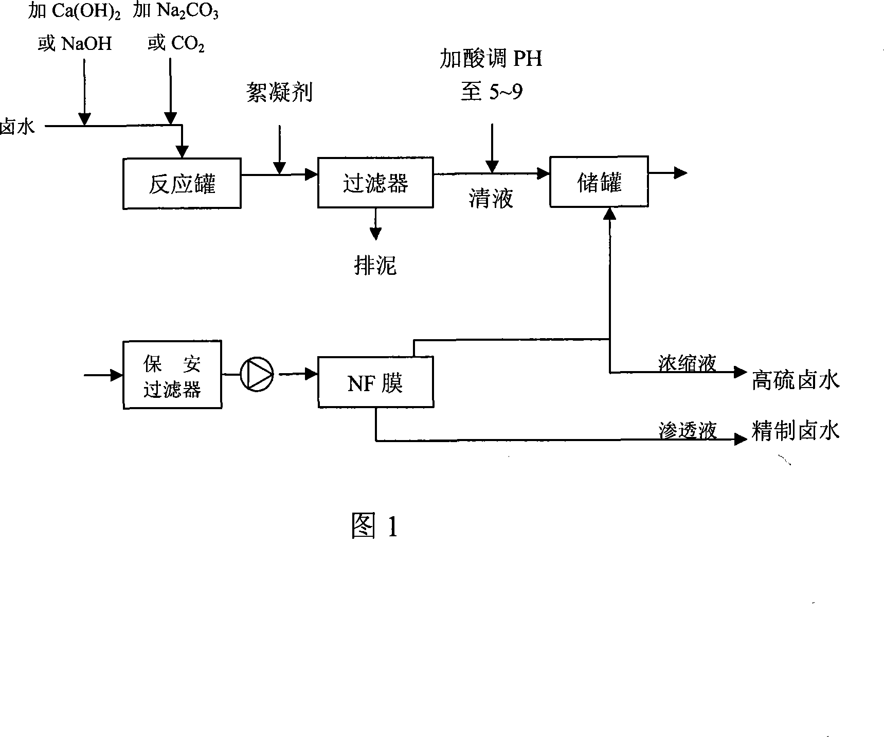 Advanced treatment technique for brine