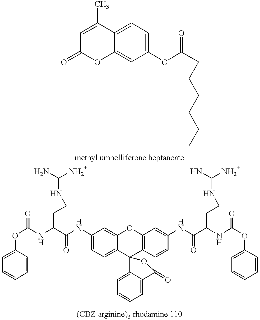 Gene expression library produced from DNA from uncultivated microorganisms and methods for making the same