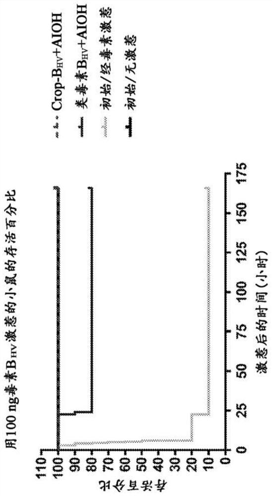 Clostridium difficile multi-component vaccine