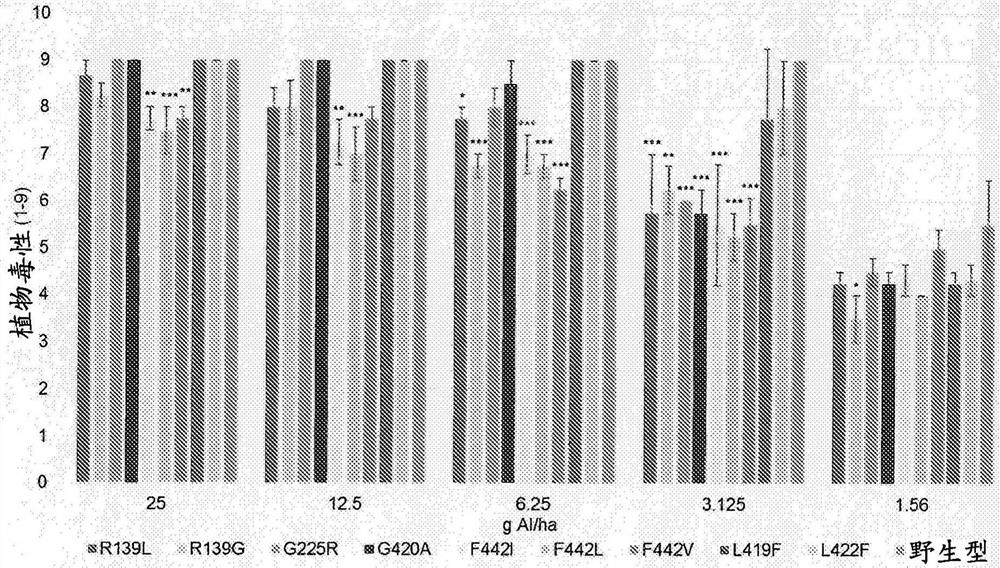 Plants having increased tolerance to herbicides