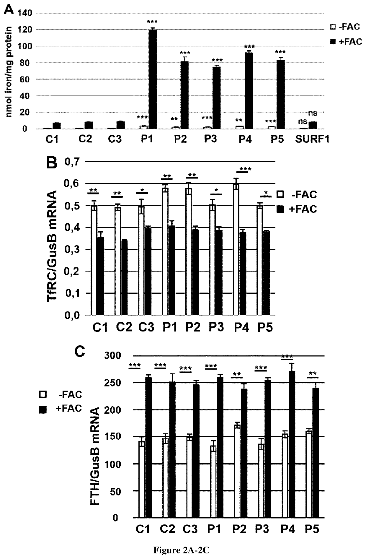 Treatment and prediction of therapeutic responses in patients suffering from friedreich ataxia