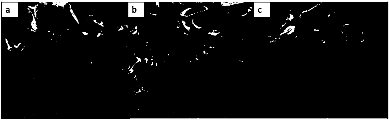 Rubidium-containing multistage mesoporous bioactive glass, and preparation method and application thereof