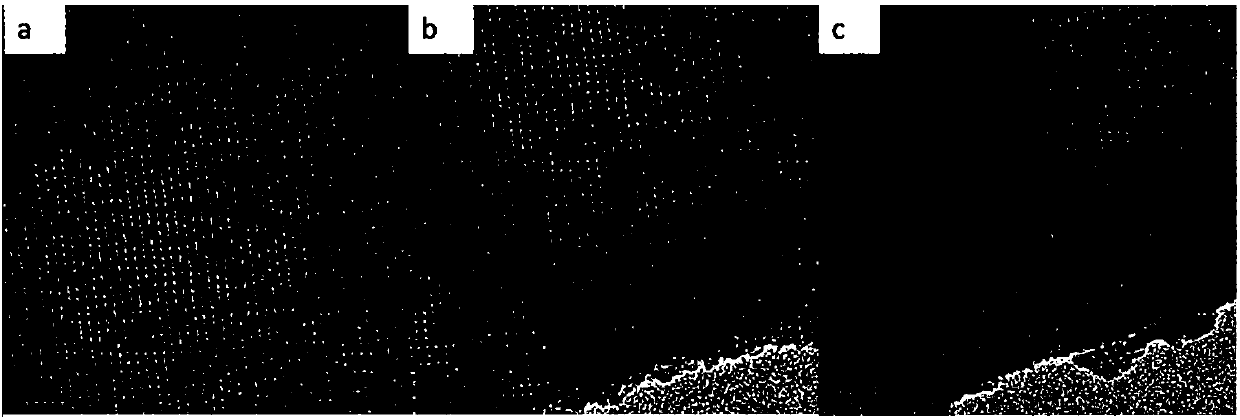 Rubidium-containing multistage mesoporous bioactive glass, and preparation method and application thereof