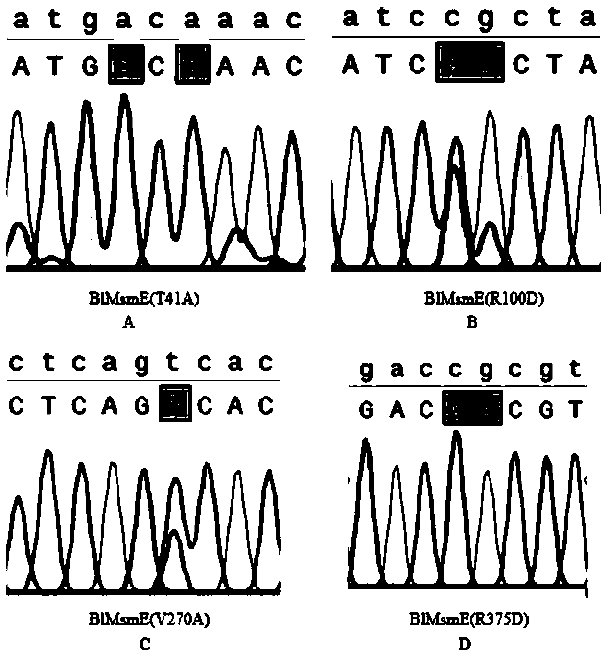 Large primer PCR site-specific mutagenesis method