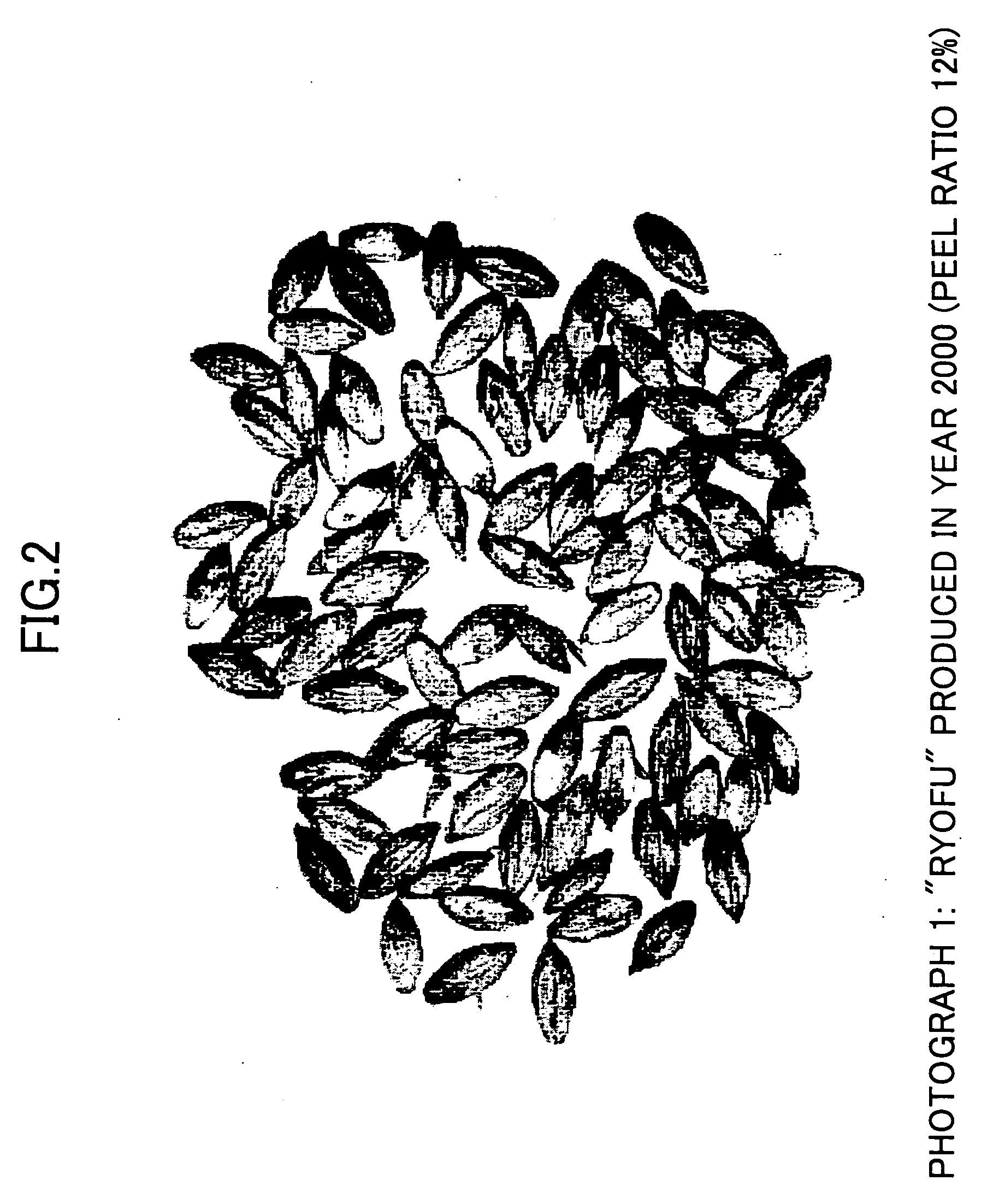 Method of judging suitability of raw barley for feedstock for malt production according to staining technique