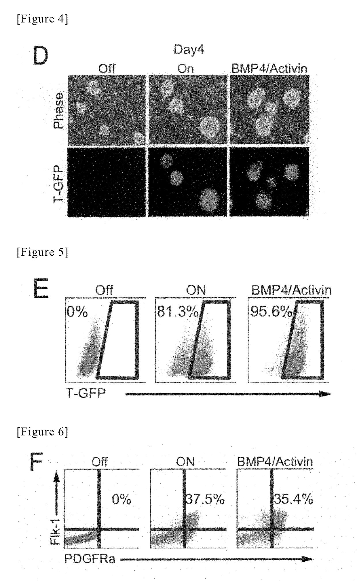 Method for producing cardiac precursor cell and myocardial cell from pluripotent stem cell