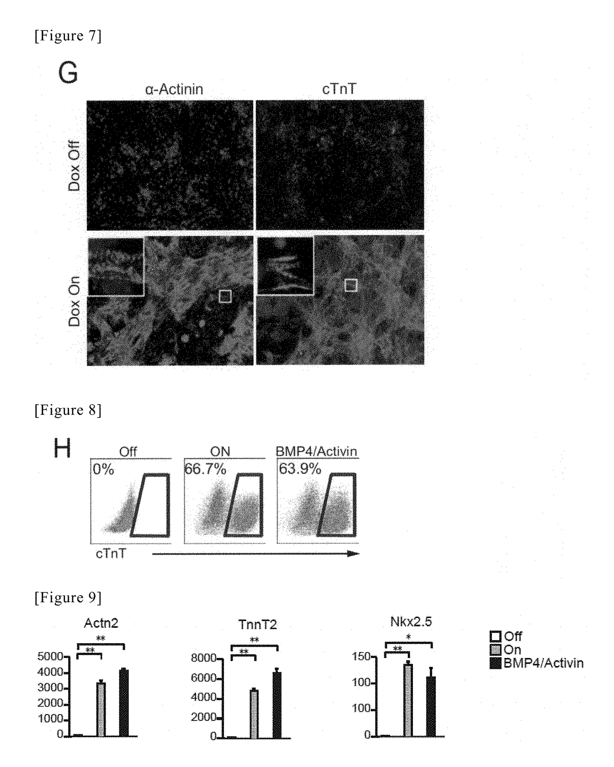 Method for producing cardiac precursor cell and myocardial cell from pluripotent stem cell