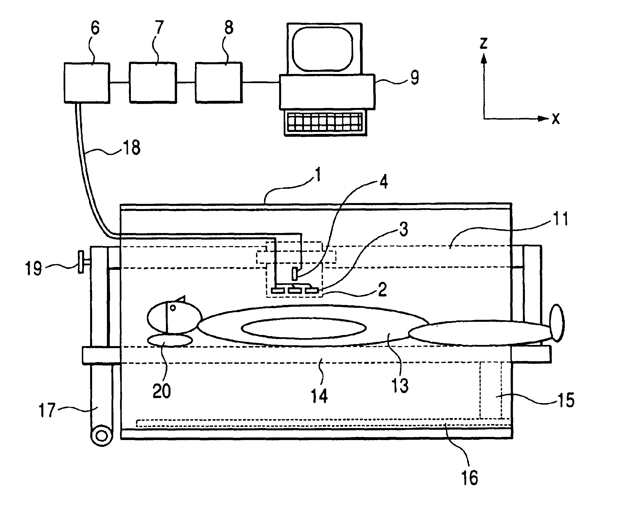 Magnetic field measurement system