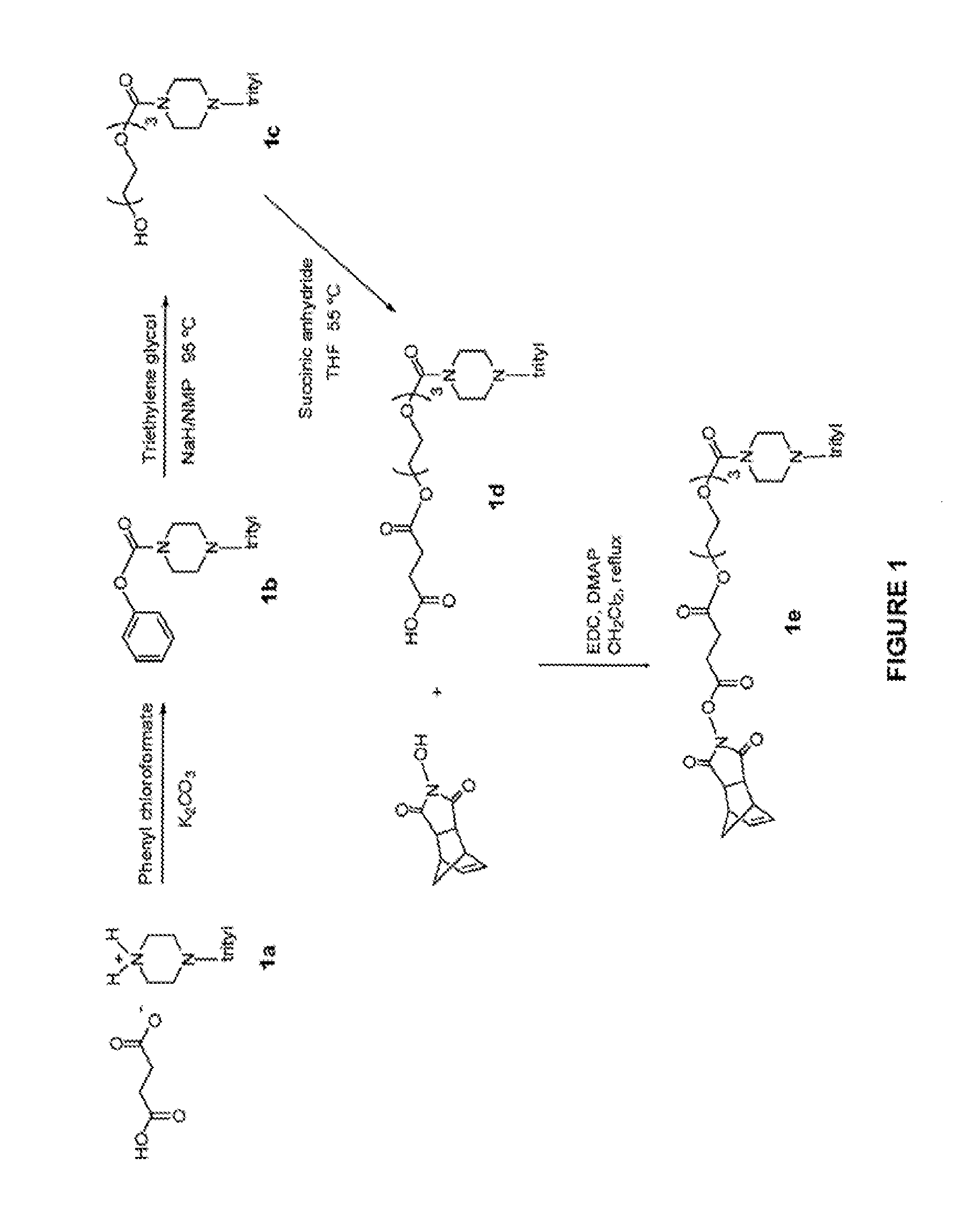 Oligonucleotides for treating expanded repeat diseases