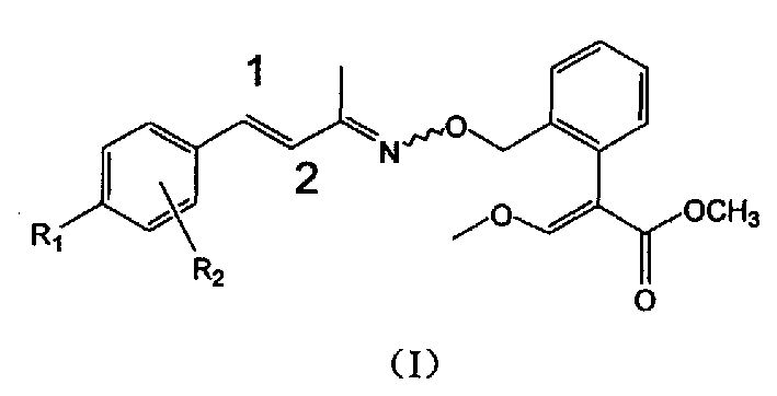 Unsaturated oximino ether compound with fungicidal, insecticidal activity