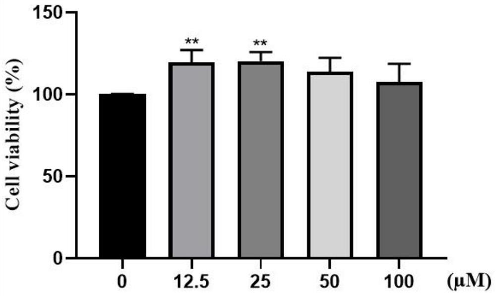 Application of 2-methoxynaphthalene in preparation of product for resisting skin light injury