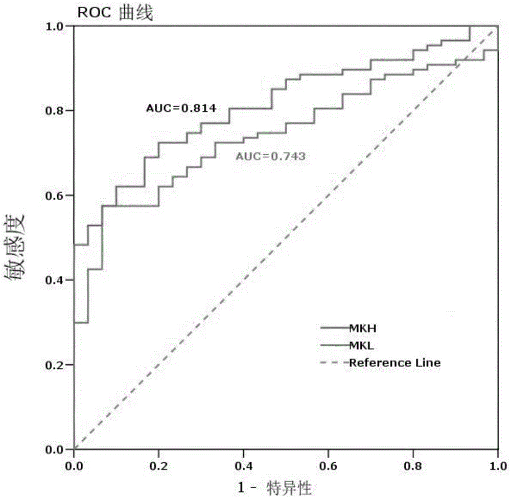 Expression and application of midkine mRNA (messenger ribose nucleic acid) in peripheral blood of patient suffering from lung cancer