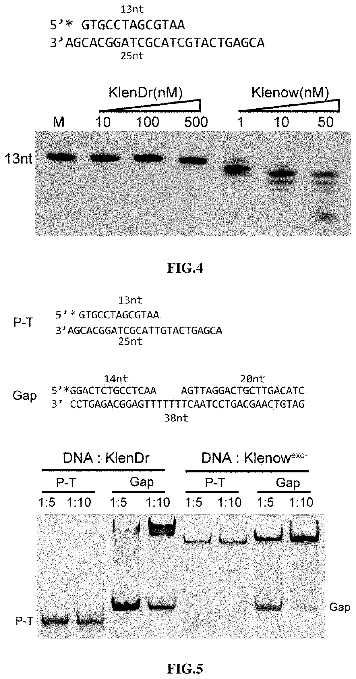 High-fidelity polymerase with preference for gapped DNA and use thereof