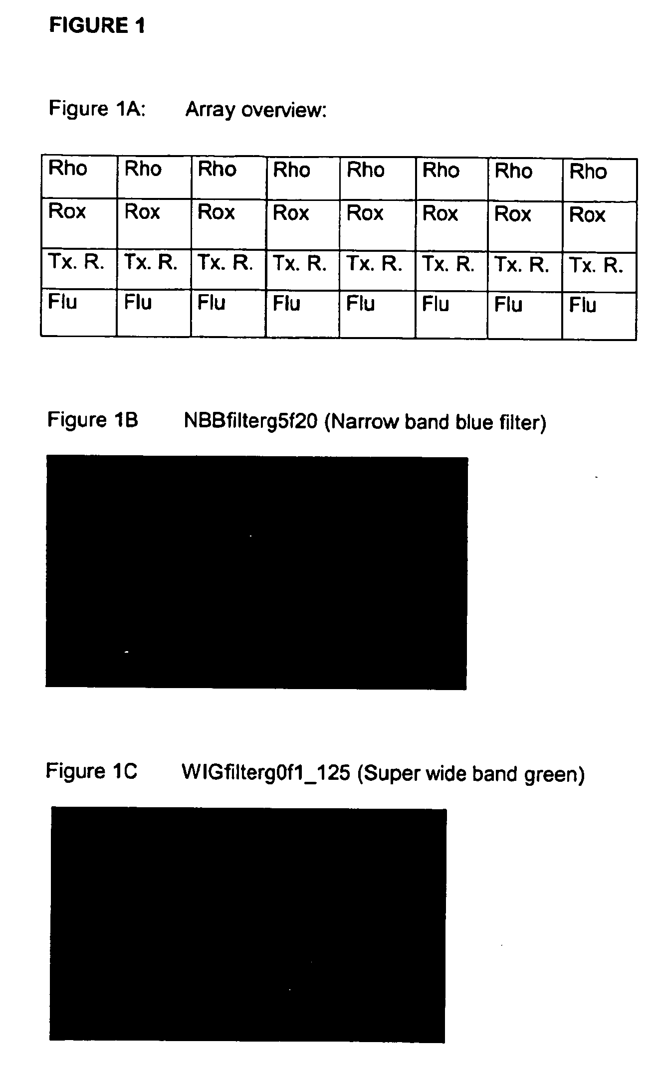 Normalisation of microarray data based on hybridisation with an internal reference