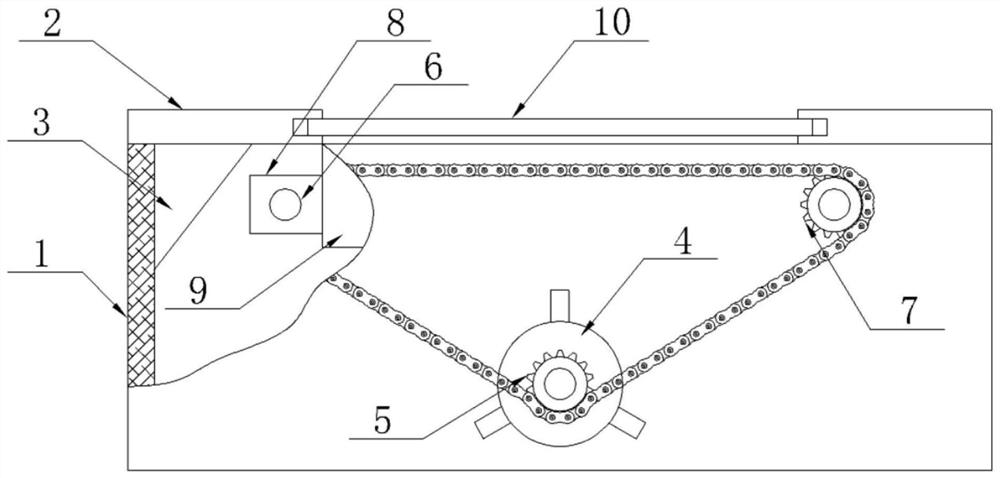 Efficient and water-saving feed putting device for large ornamental fish culture box