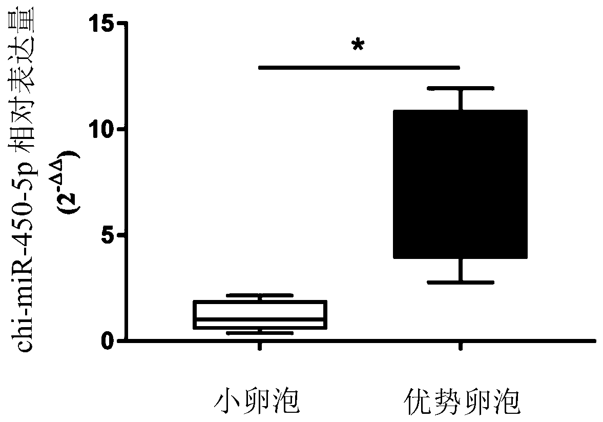 Application of chi-miR-450-5p as miRNA marker for maturation of goat follicles