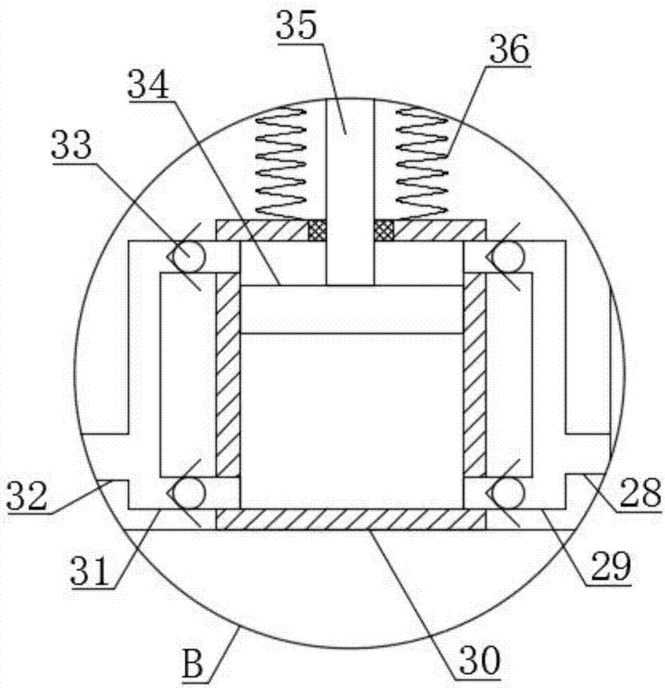 Garden multi-direction pesticide spraying device