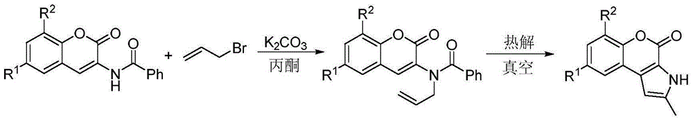 Substituted 1,4-dihydro-chromene [2, 3-b] pyrrole compound and preparation method thereof