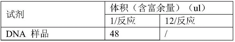 Gene mutation detection method and apparatus