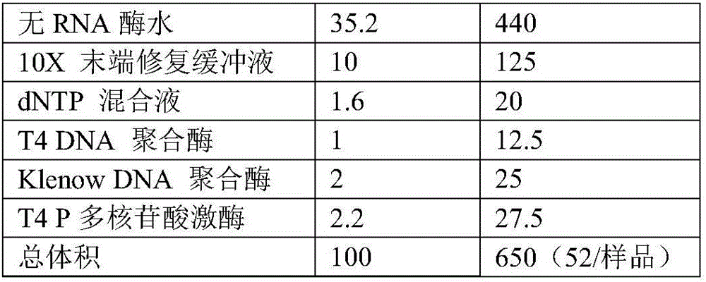 Gene mutation detection method and apparatus