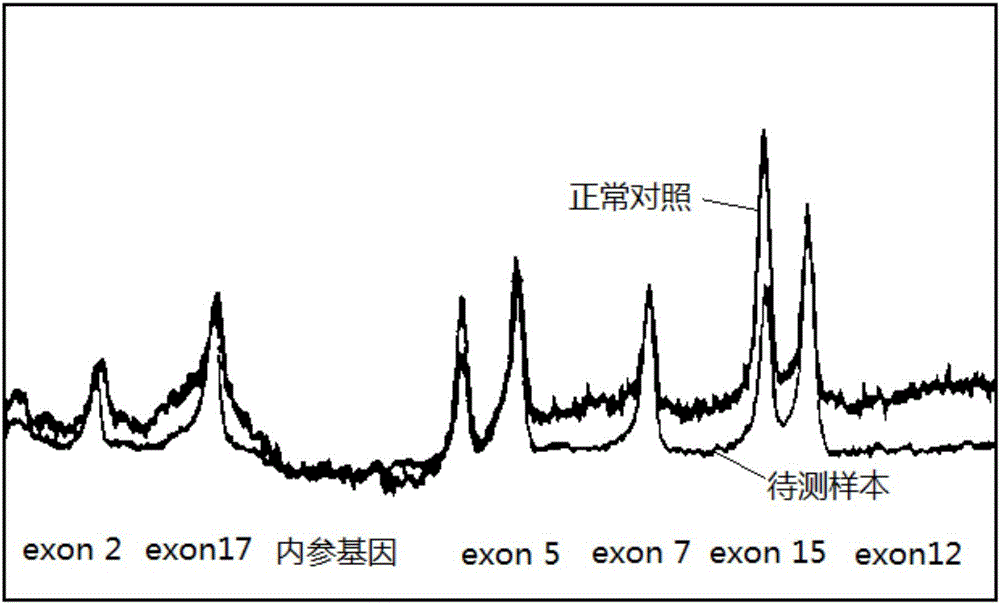 Gene mutation detection method and apparatus