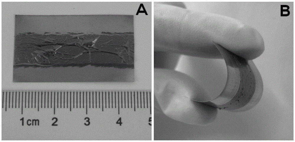 A kind of preparation method of graphene film for supercapacitor