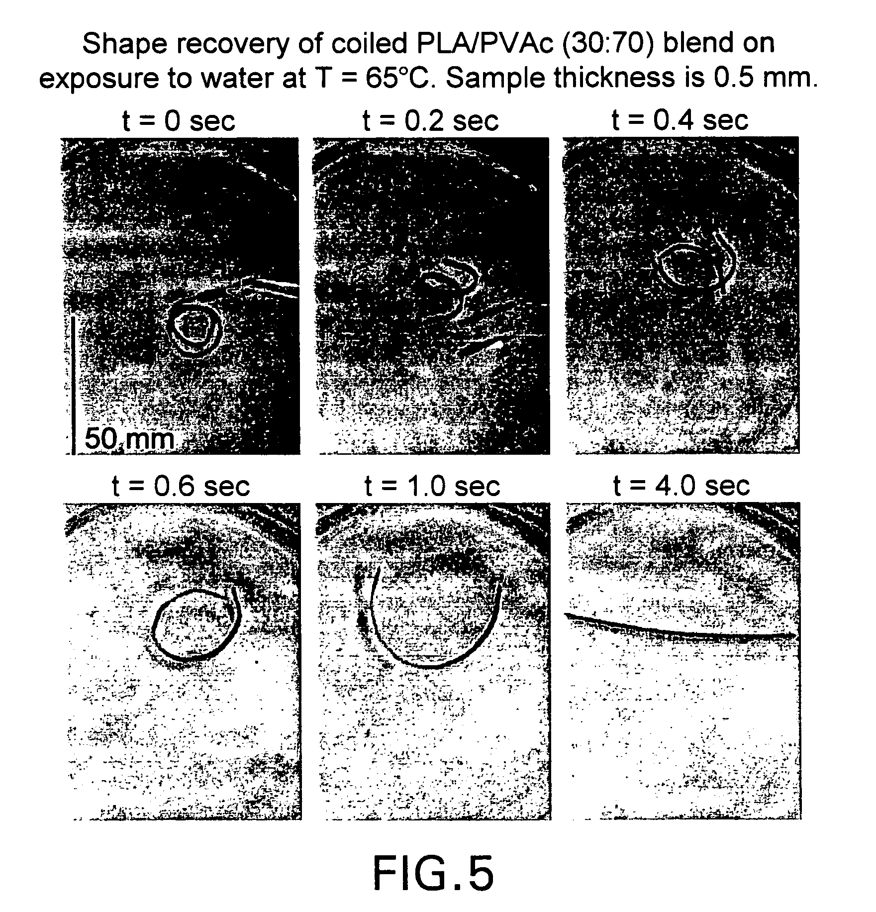 Blends of amorphous and semicrystalline polymers having shape memory properties