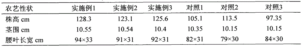 Special compound fertilizer for Zimbabwe flue-cured tobacco KRK26 and fertilization method thereof