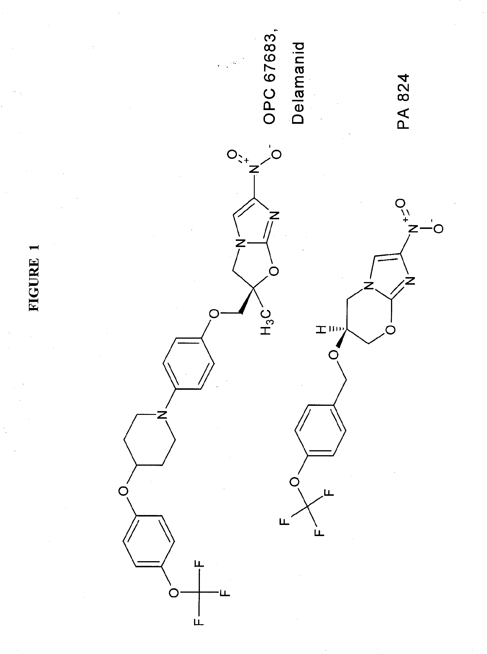 Rapid phenotype tests for antitubercular drug sensitivity and resistance