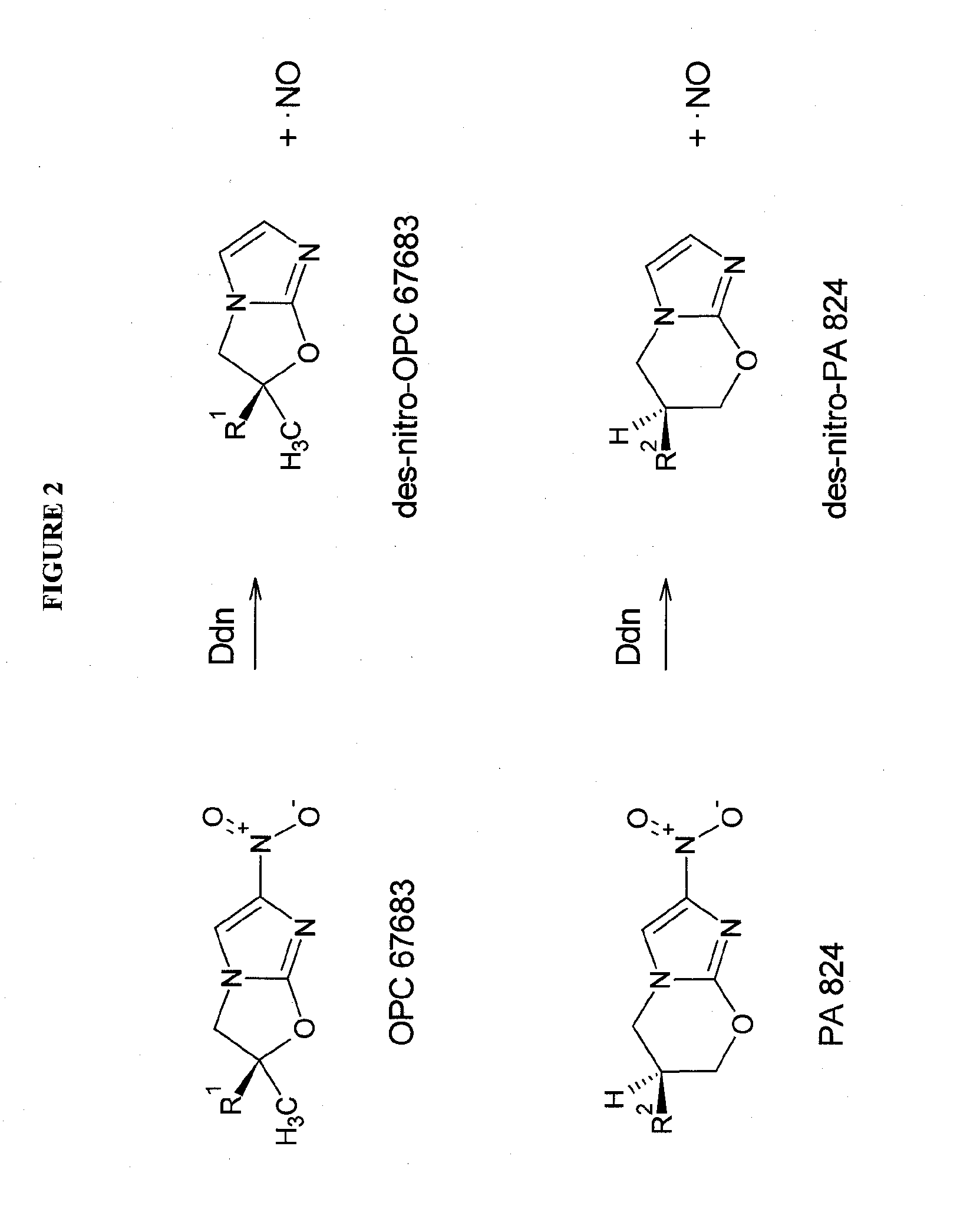 Rapid phenotype tests for antitubercular drug sensitivity and resistance