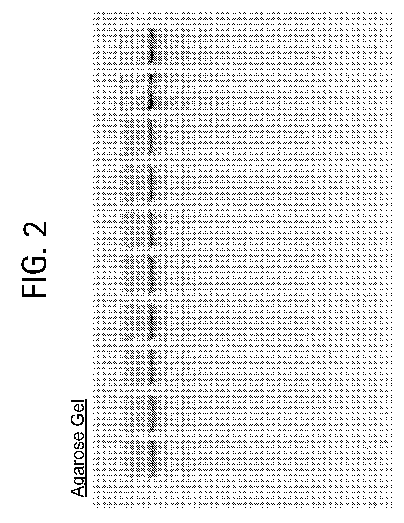 Nucleic acid purification method