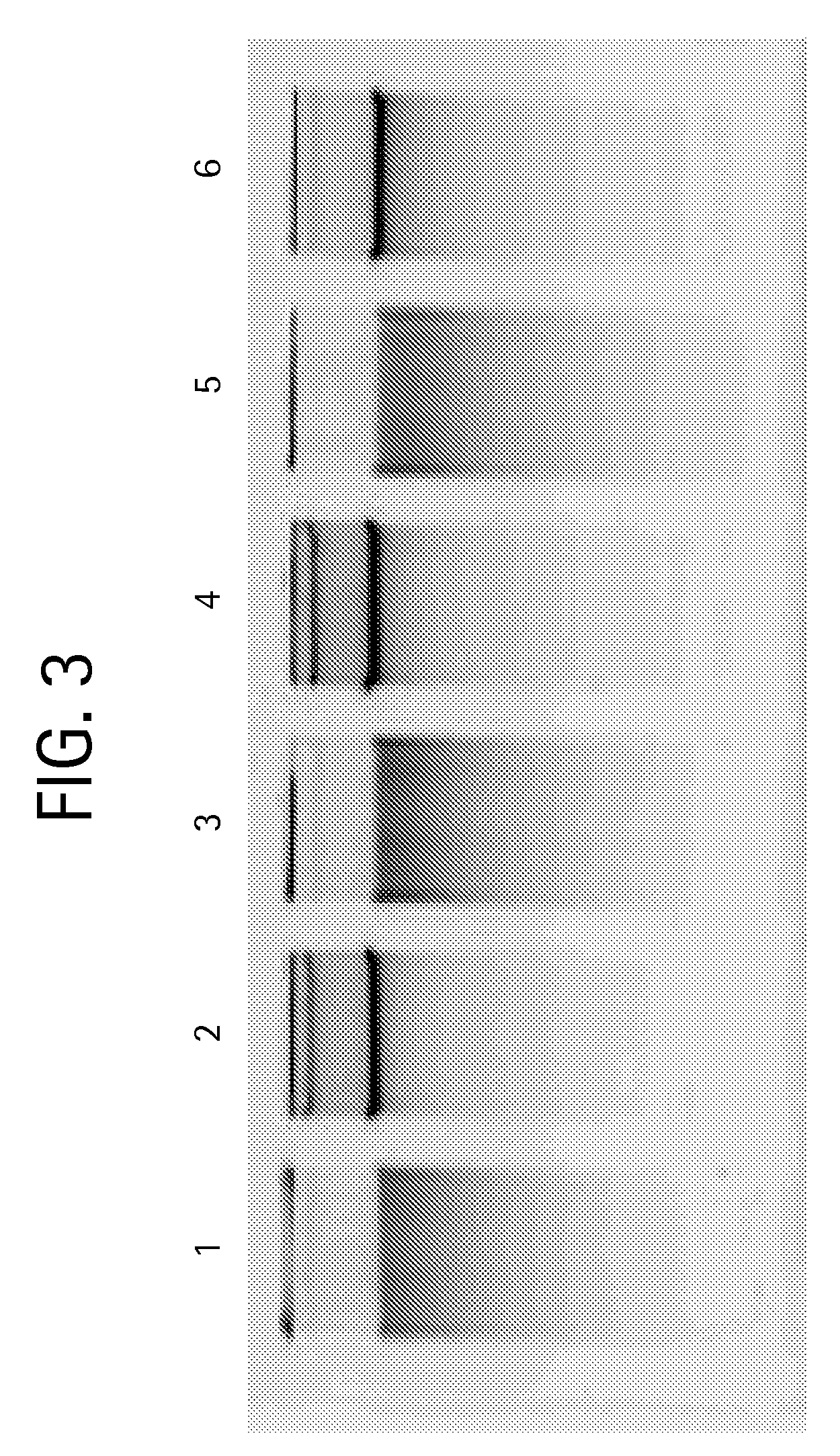 Nucleic acid purification method