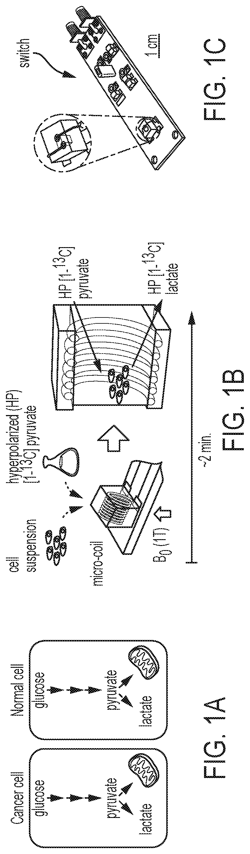 Hyperpolarized micro-NMR system and methods