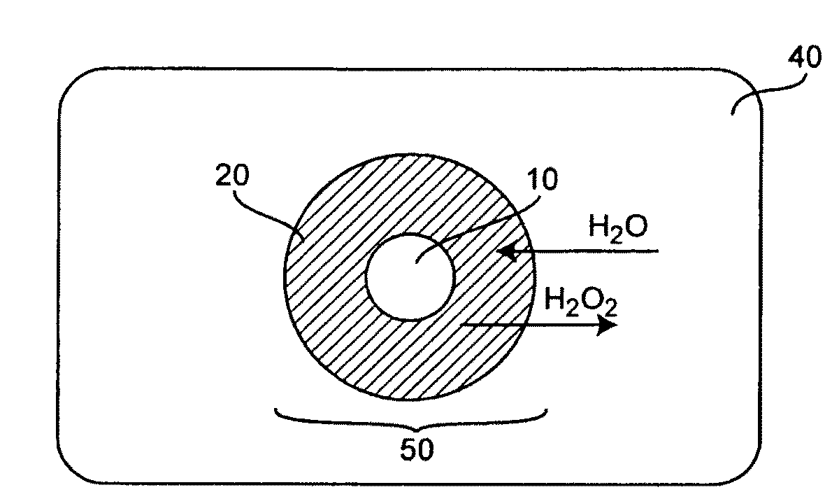 Methods and Compositions for Controlled and Sustained Production and Delivery of Peroxides and/or Oxygen for Biological and Industrial Applications