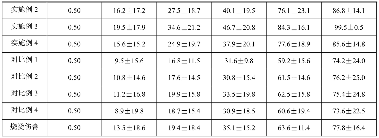 Traditional Chinese medicine composition used for treating burn and scald and diaper dermatitis, and preparation and preparation method thereof