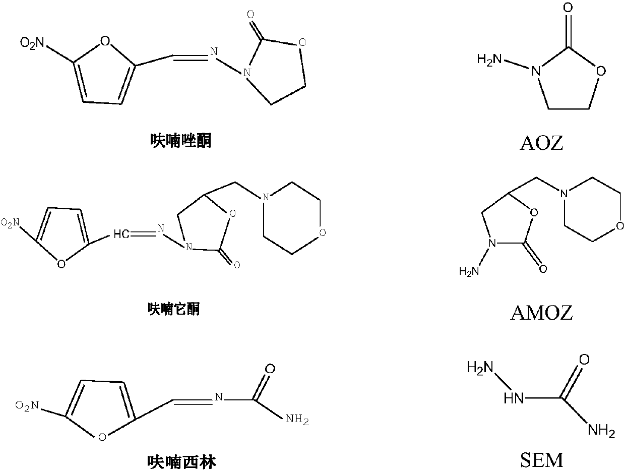 Method for detecting nitrofuran drug in eel