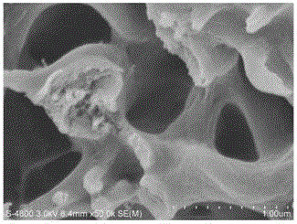 Modified macadamia shell adsorbent