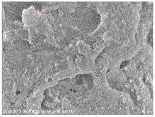 Modified macadamia shell adsorbent