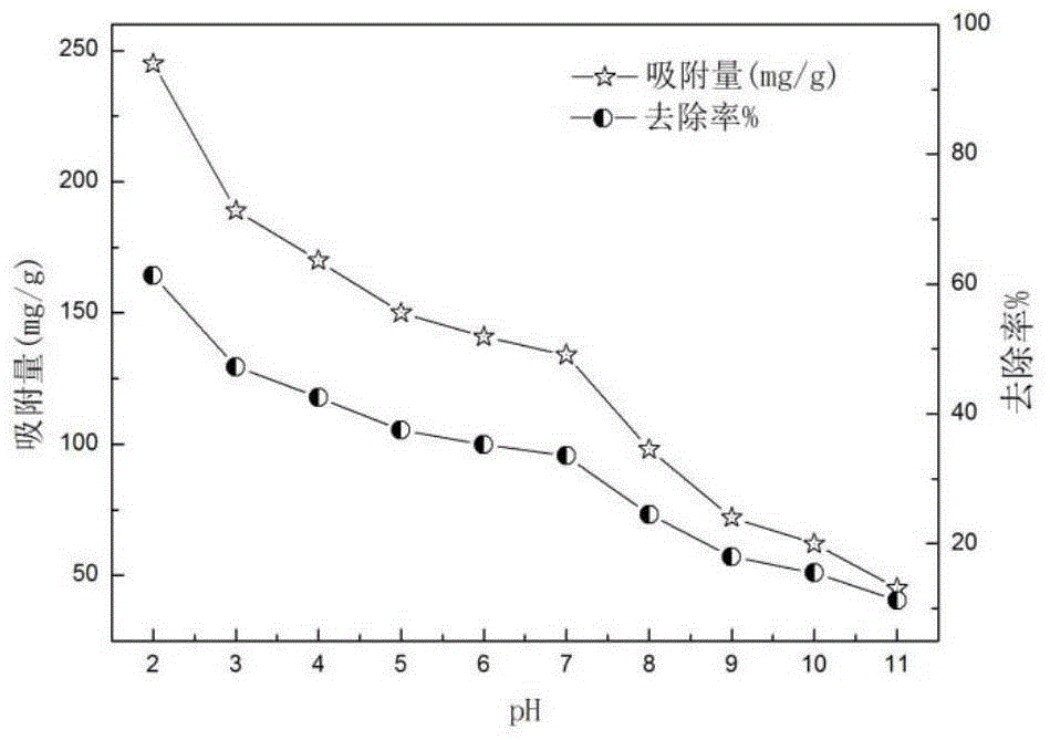 Modified macadamia shell adsorbent